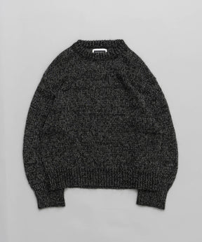 【24AW PRE-ORDER】Mohair x Metallic Yarn Mixed Mohair Sheer Prime-Over Crew Neck Knit Pullover