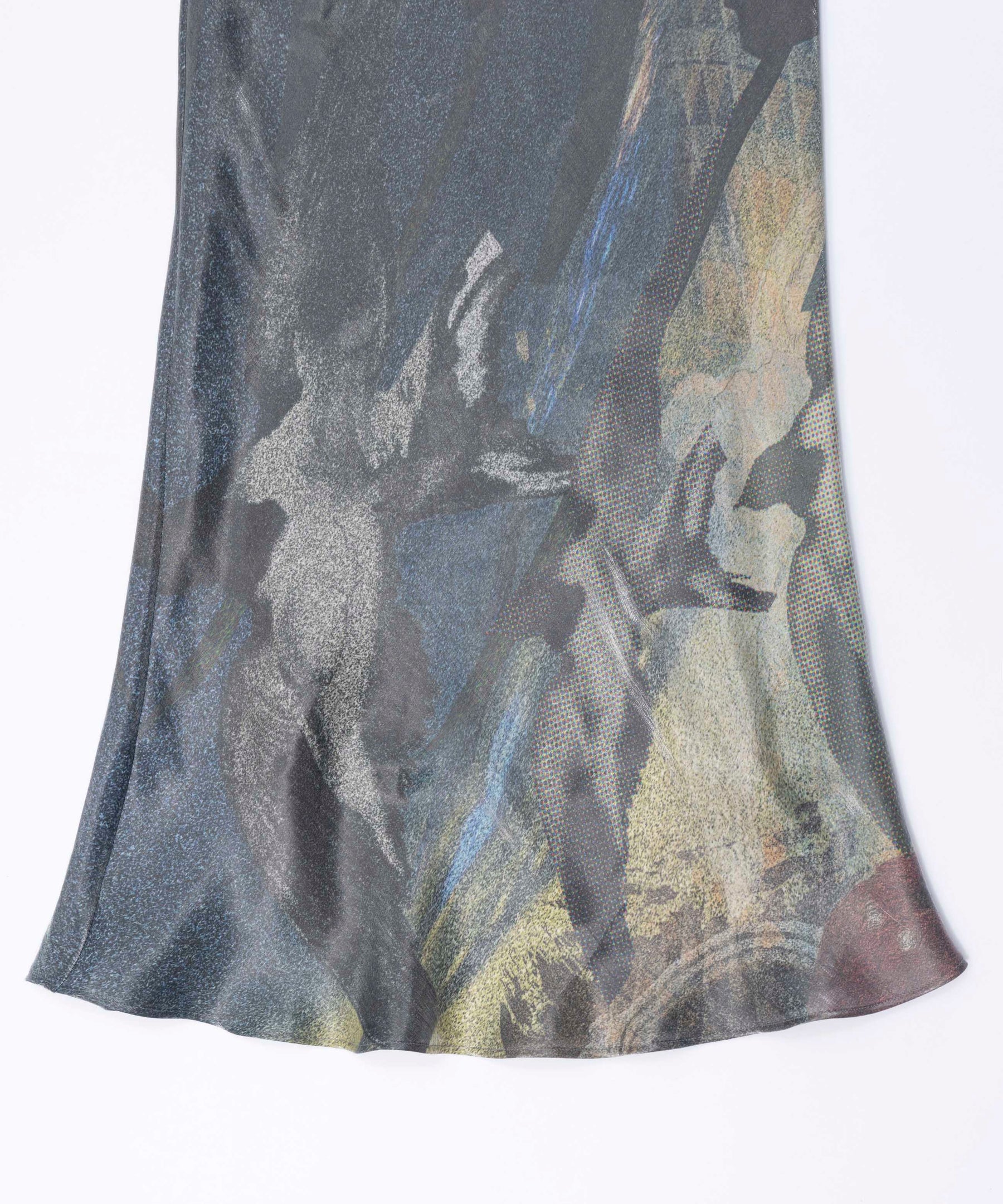 Swallow Imagination Print Skirt