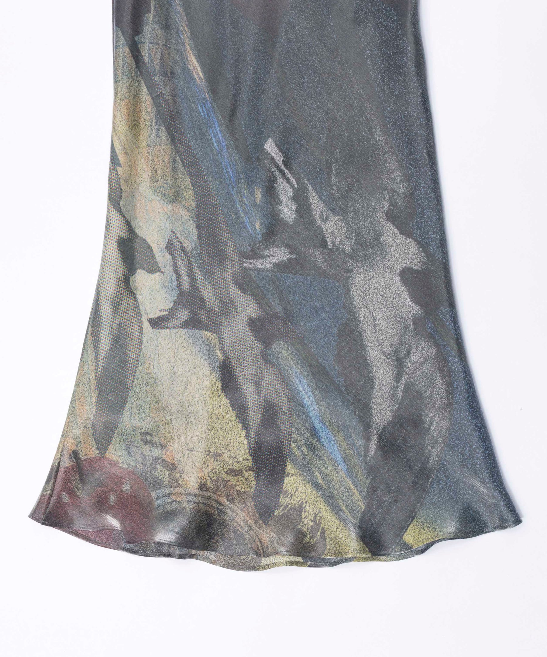 Swallow Imagination Print Skirt