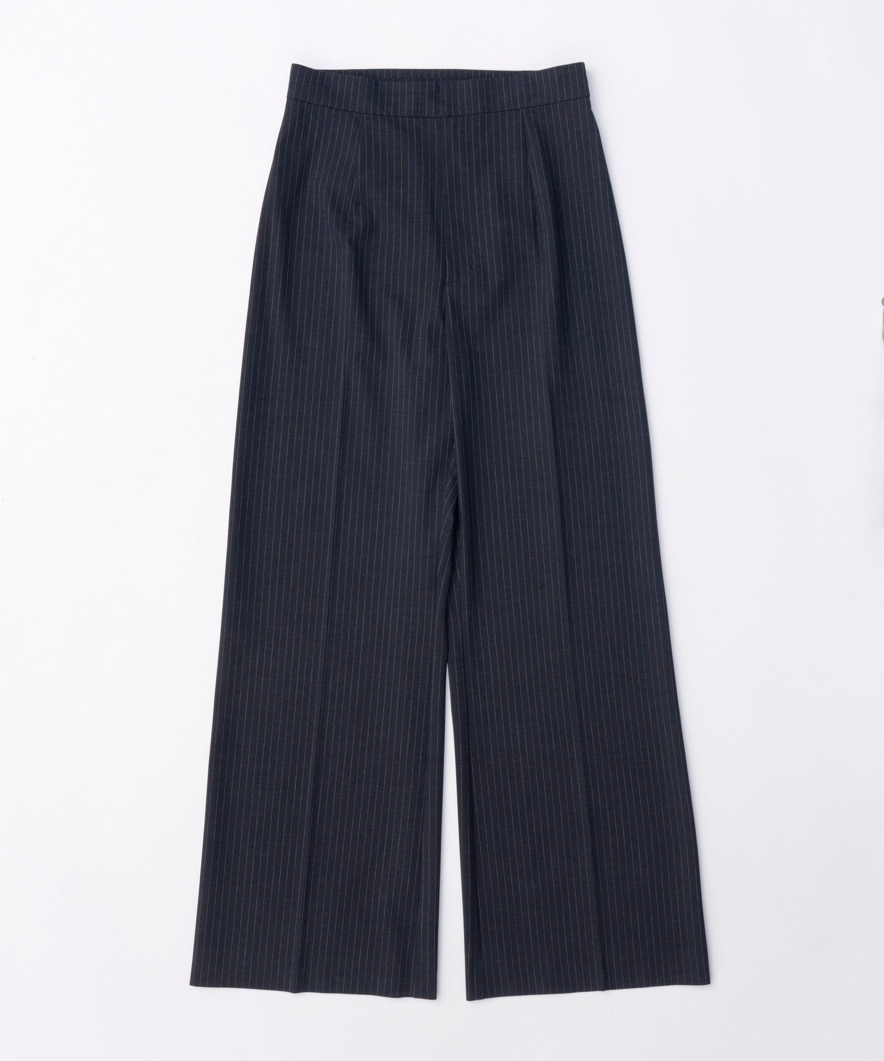 Box Pleated Skirt Pants